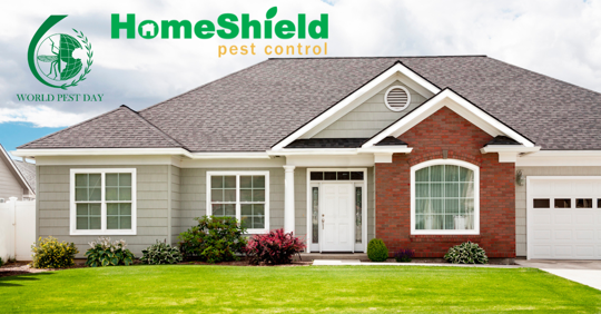 World Pest Day - HomeShield Pest Control