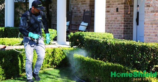 Pest control technician spraying liquid onto a garden