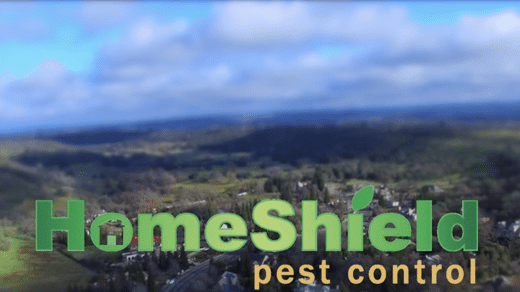 HomeShield: Protecting What Matters Most