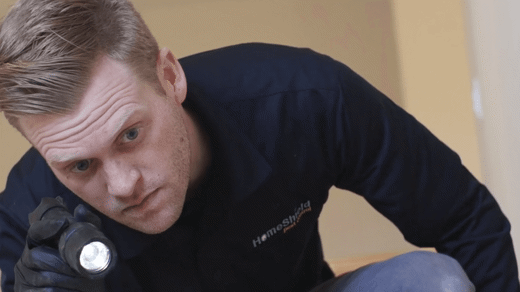 HomeShield Los Angeles