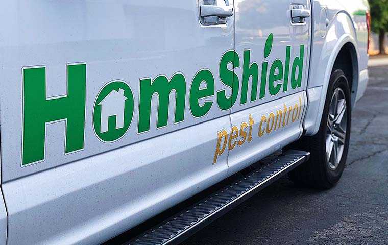 side of HomeShield Pest Control van with "HomeShield Pest Control" text on the side of it