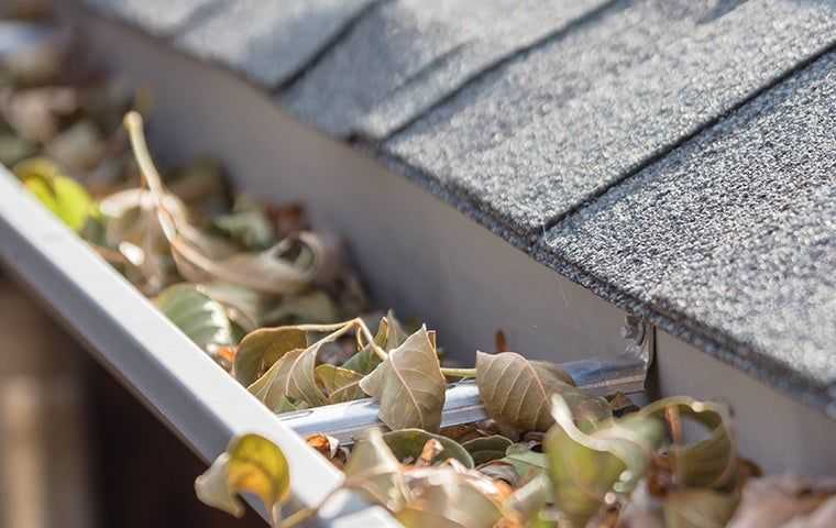 a gutter filled with leaves