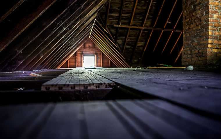 clean attic space in a home